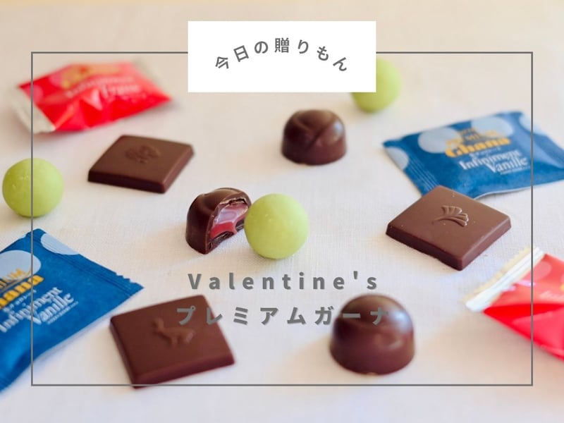 【今日の贈りもん】身近だけど特別なチョコ。V.T限定「プレミアムガーナ」がすごく美味