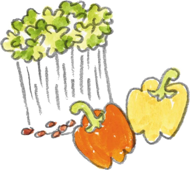 抗酸化力がずば抜けているのがブロッコリースプラウトとパプリカ ［食楽web］