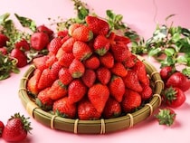 「あまおう」食べ放題の衝撃！「いちご尽くしのスイーツフェア」で注目のいちごメニュー5選