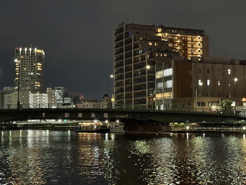 屋形船やビルの灯りが映ってゆらゆらと光る流水面