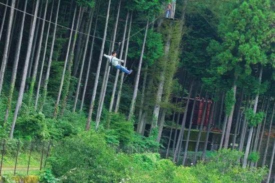 『道の駅コンプリートガイド』パブ記事画像