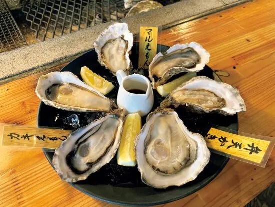 『道の駅コンプリートガイド』パブ記事画像