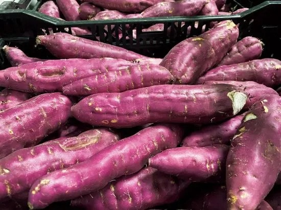 『道の駅コンプリートガイド』パブ記事画像