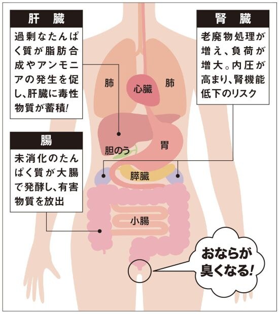 筋トレおじさんが［プロテイン中毒で体を壊す］の深刻な事情