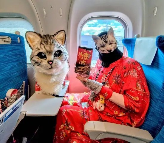 ササヤマメリー