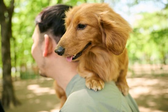 AdobeStock_1564346835