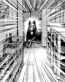 中目黒にある犬が放し飼いの居酒屋『大衆割烹 藤八』でハイボールが進み酔った夜／カツセマサヒコ