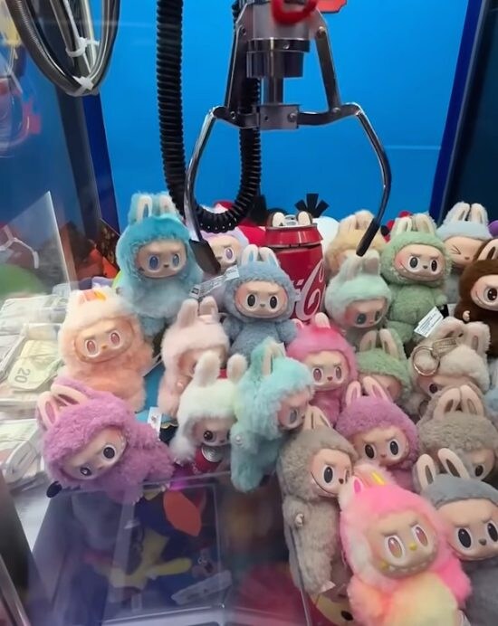 中国発［偽ラブブ密輸ルート］の実態