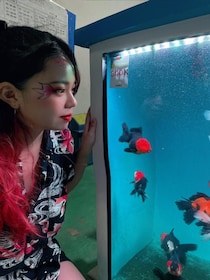 高齢化で廃業する業者も…「金魚を愛する女性」が“金魚離れ”を解消するために始めた挑戦「派手な服装はキャラ作りではない」