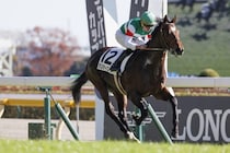 天皇賞（秋）5勝＆G1連勝中「ルメール」でも太刀打ち不可能？「マスカレードボール」に立ちはだかる“怖すぎるジンクス”とは