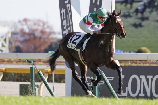 天皇賞(秋)5勝&G1連勝中「ルメール」でも太刀打ち不可能?「マスカレードボール」に立ちはだかる“怖すぎるジンクス”とは