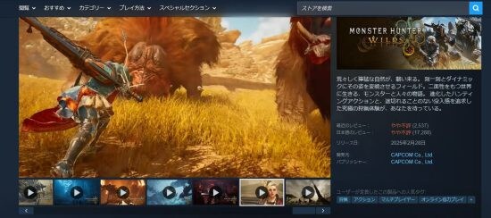 モンスターハンターワイルズ