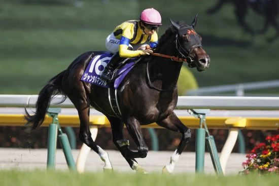 ＜マイルCS＞ジャンタルマンタル×川田将雅に忍び寄る「18戦全敗」負のデータ…3強「総崩れ」危機で浮上する「特注穴馬」2頭は