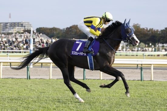 ＜ジャパンC＞マスカレードボール勝利の条件は…3歳馬「天皇賞・秋→ジャパンC」連勝は“至難の業”といえるワケ