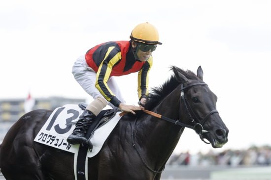 クロワデュノール