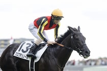 ＜ジャパンC＞“内枠が圧倒的に有利”なのに「クロワデュノールは半信半疑」のワケ。競馬プロが語る「紐穴で狙っている馬」