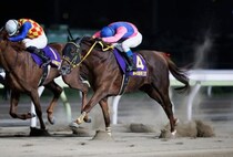 ＜チャンピオンズC＞3歳勢が断然人気も「危険な人気馬」が多すぎる理由…武豊×メイショウハリオの大駆けに期待できるか