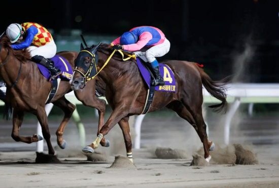 ＜チャンピオンズC＞3歳勢が断然人気も「危険な人気馬」が多すぎる理由…武豊×メイショウハリオの大駆けに期待できるか