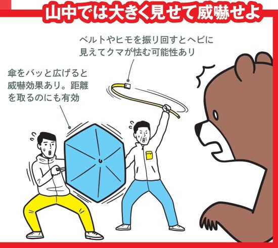 ［クマvs人間］ガチンコ撃退術