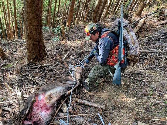 ［クマvs人間］ガチンコ撃退術