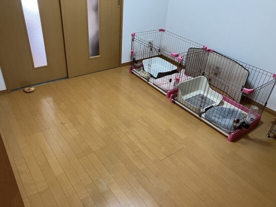 ペット不可の部屋