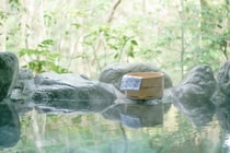 「我慢の限界でした」温泉で騒ぐ外国人観光客に地元民がウンザリ。スタッフに注意され謝罪するまで――大反響セレクション