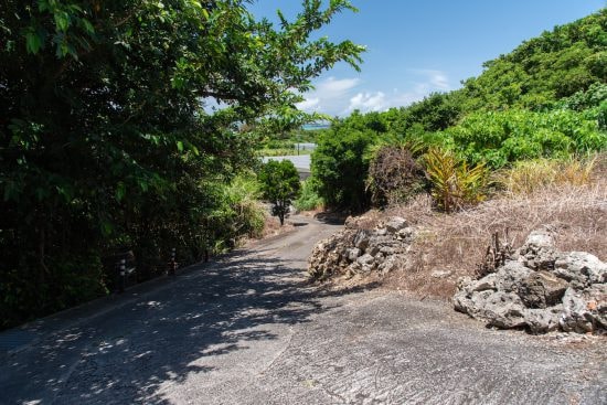 木陰のある天気の良い田舎の坂道