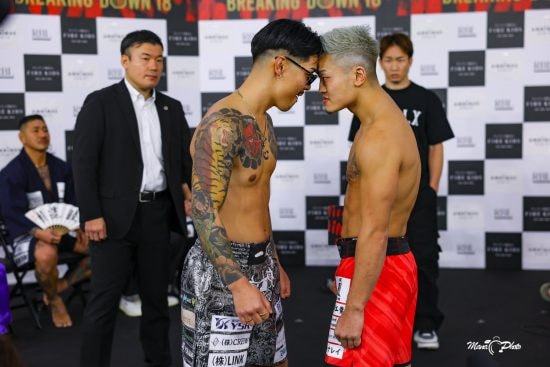 ブレイキングダウン