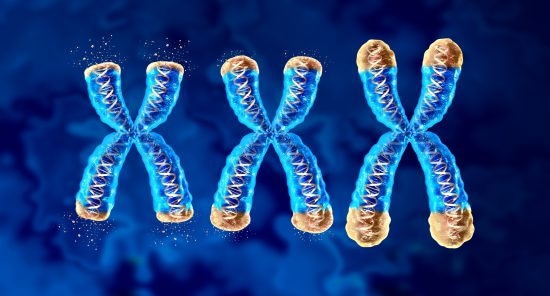 短くなるテロメア