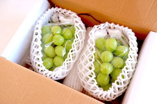 ニュースカタリスト　乙武洋匡