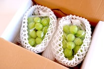 ふるさと納税「おいしい肉や果物の代わりに失った」行政サービス。東京都では“累計1兆1593億円”が流出