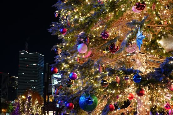 クリスマスイルミネーションとツリーの夜景