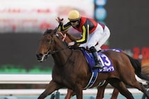 ＜有馬記念＞“長距離G1データ”から見える「過度な期待禁物の2騎手」…急浮上した「爆穴候補」とは