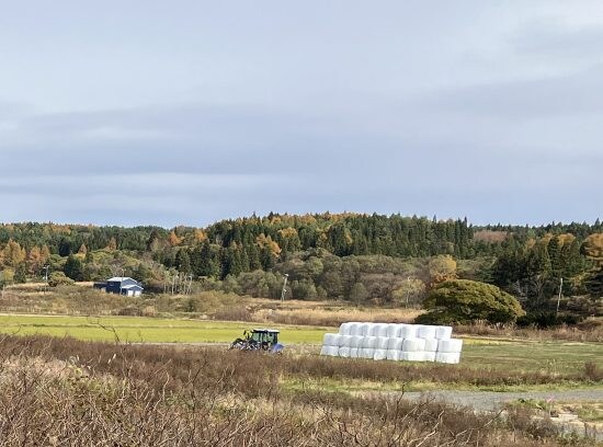 里村さんの故郷の風景