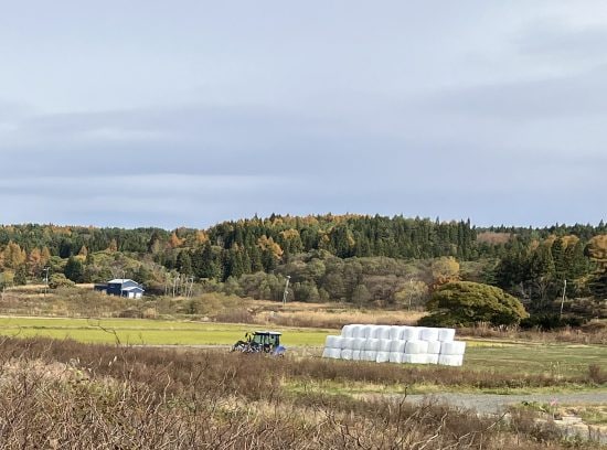 「やっぱり東京に戻りたい」農村の生活になじめない妻と2年で離婚。東北にUターン移住した45歳男性の後悔――大反響セレクション