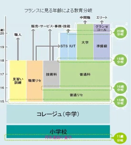 フランスにおける学習分岐