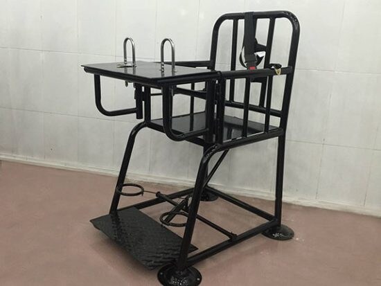 一九八四+四〇 ウイグル潜行