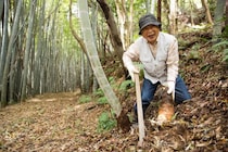 「許可は取ってます」嘘をついて他人の敷地で山菜を採る60代男性…身元がバレて慰謝料を支払うまで――3連休ベスト