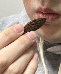 「ほぼドラッグ」在日中国人留学生の間で出回る“木の実”の正体とは？密売人に接触して見えた実態