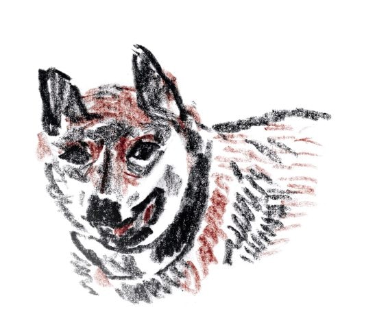 誰が為にか書く