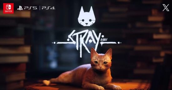 STRAY