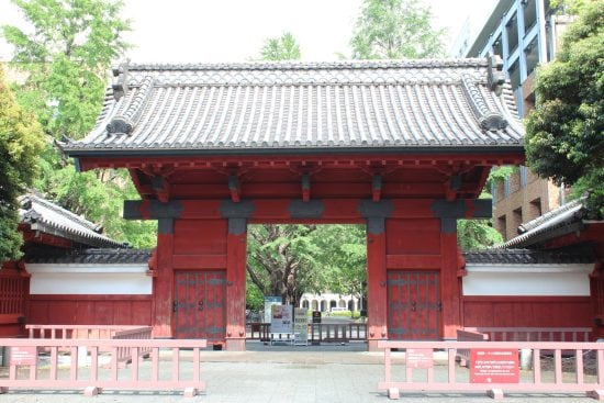 今年の東大合格者数で見えた進学校の“最新勢力図”。昨年比33人減の“超名門校”は「凋落してしまった」のか