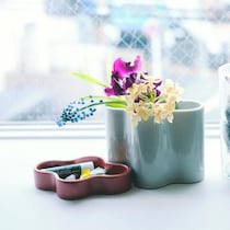 「インテリアの花瓶選び」黄金ルールは“口”にあった。初心者が失敗しない基準