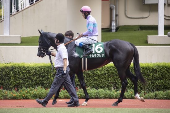 <高松宮記念>“3強決着”ではない?短距離なら「川田>ルメール」と言い切れる理由