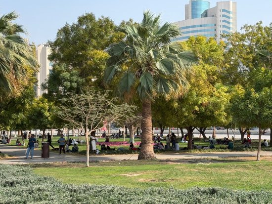 デイラ地区の公園