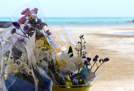 ニュースカタリスト　山口真由