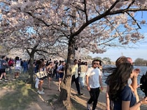 「日本人はシャイじゃない」日本人が気づいていない“本当の魅力”…アメリカ人に聞いた“日本”の印象