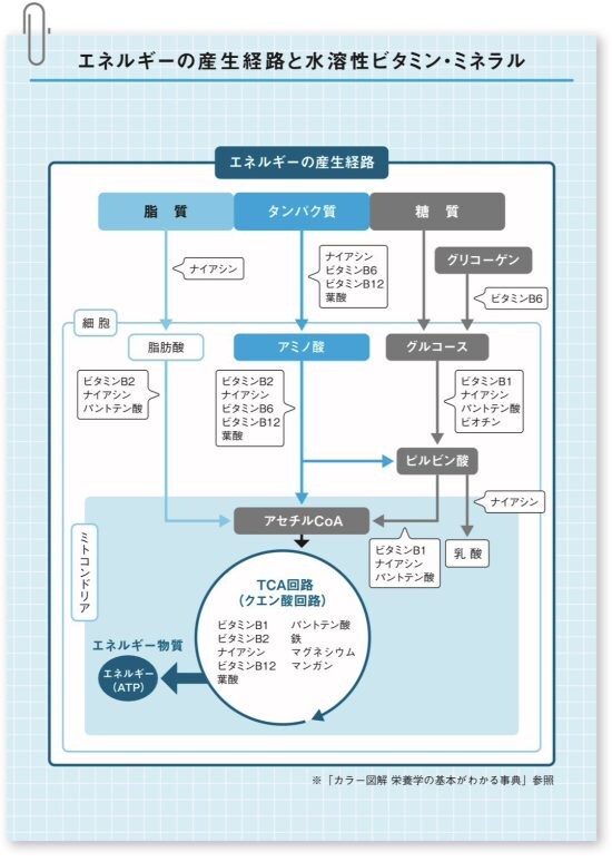 kanamorizuhan1