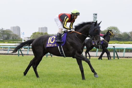 競馬