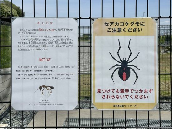 ヒアリ・セアカゴケグモの注意喚起掲示